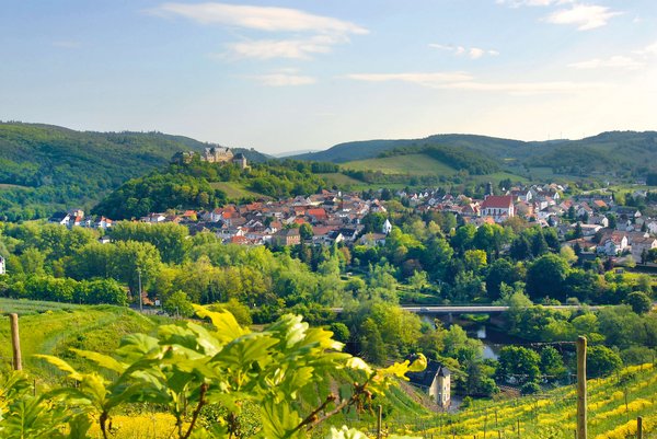 Stadtplan von Bad Münster am Stein-Ebernburg