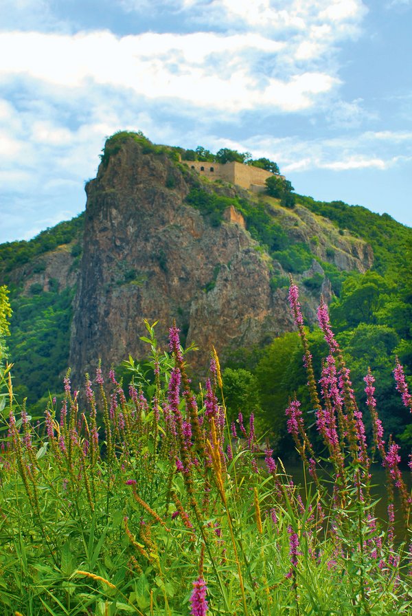 Burgruine Rheingrafenstein